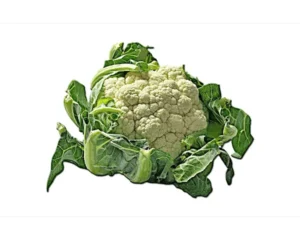 Ayaya Karnabahar Yaprağı Tentürü