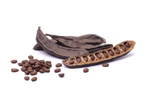 Ayaya Keçiboynuzu Tentürü