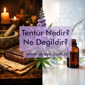 Tentür nedir? Ne değildir?