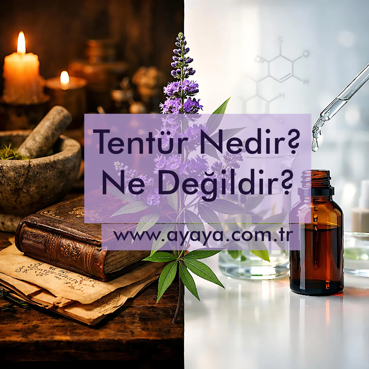 Tentür nedir? Ne değildir?